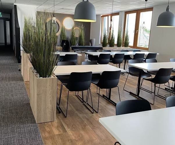 Moderne Bürokantine mit Vinylboden in Holzoptik und Teppichzonen